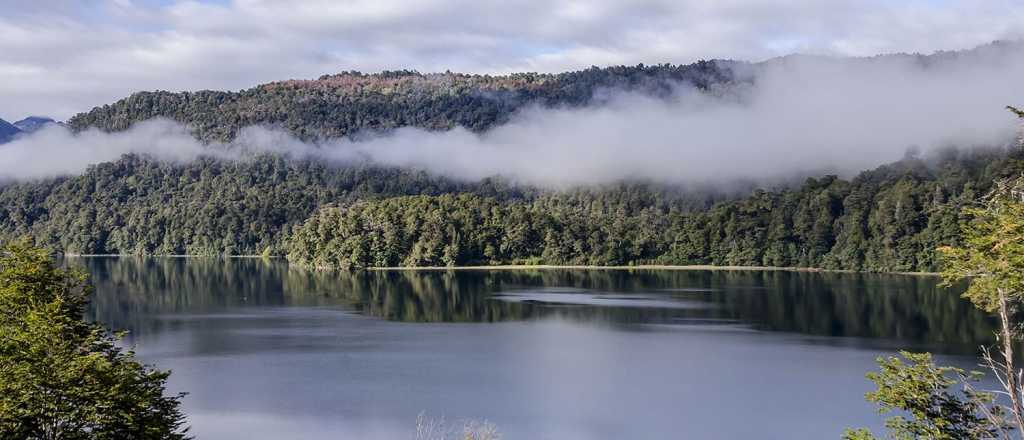 ¿Volvió Nahuelito? el "monstruo" del Nahuel Huapi