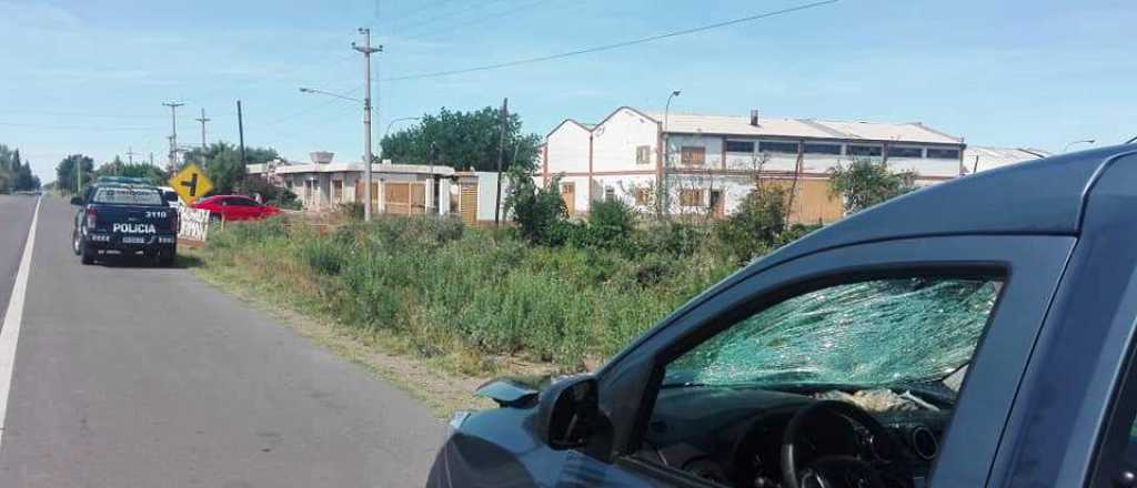 Este año Mendoza tuvo el índice más bajo de muertes viales de la década