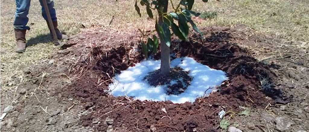 Efecto 7722: por qué quieren que en Mendoza se use la "lluvia sólida"