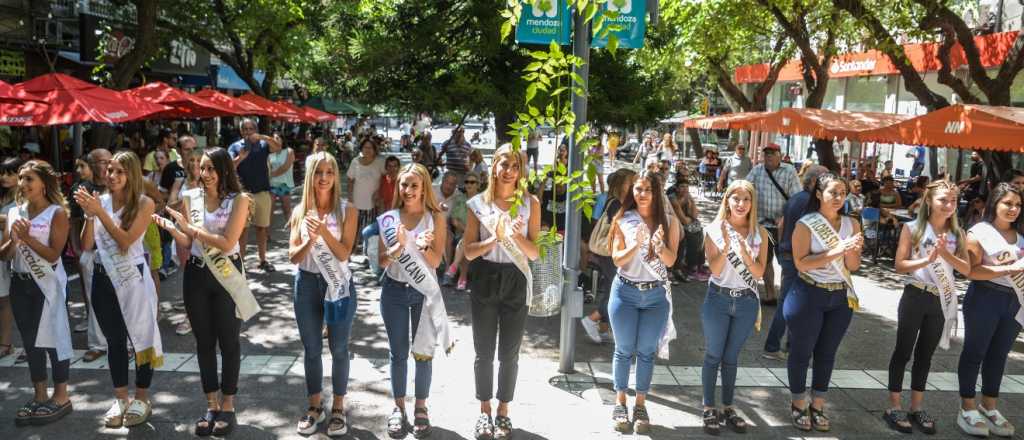 Este viernes, Capital festeja su Vendimia y vos podes votar por tu reina