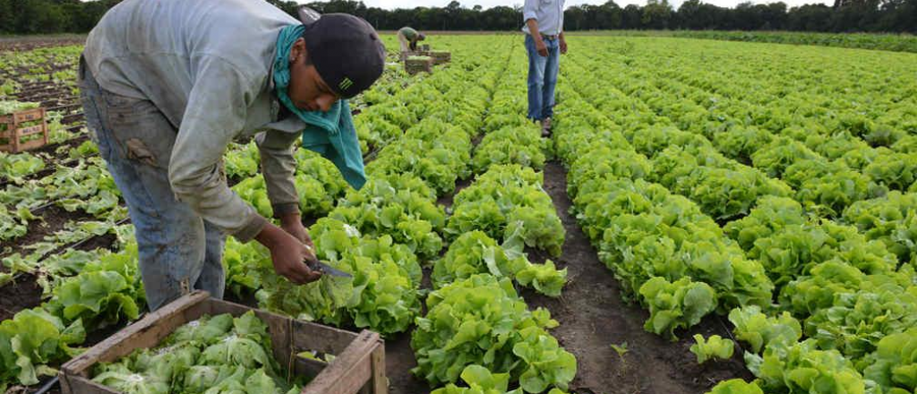 Preocupación en el Campo por el posible revalúo inmobiliario