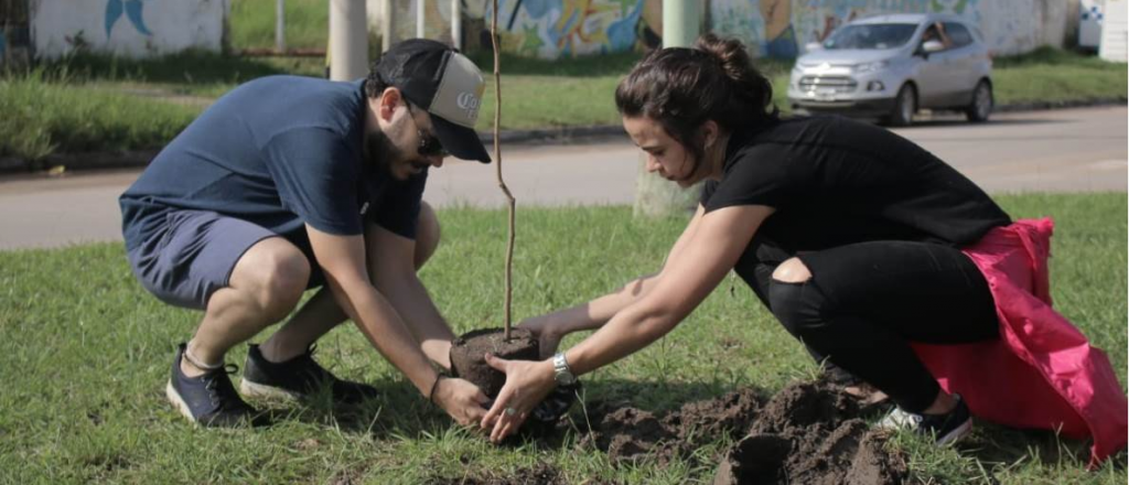 Qué es, cómo inscribirse y cuánto se cobra por el plan "Argentina Hace"