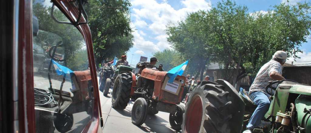 Viñateros madrugarán en la ruta en Vendimia contra cúpula de la COVIAR