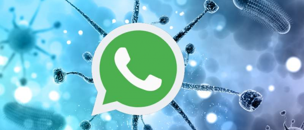 Cómo recibir avisos de la OMS por WhatsApp sobre el coronavirus