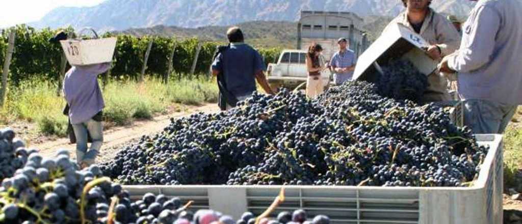 Trabajadores "golondrina" podrían no llegar para las cosechas