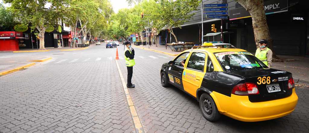 Vendimia: ya están disponibles las obleas para servicios de transporte