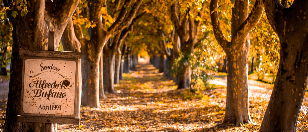 Para deleitarse: con estos colores amaneció Mendoza este viernes