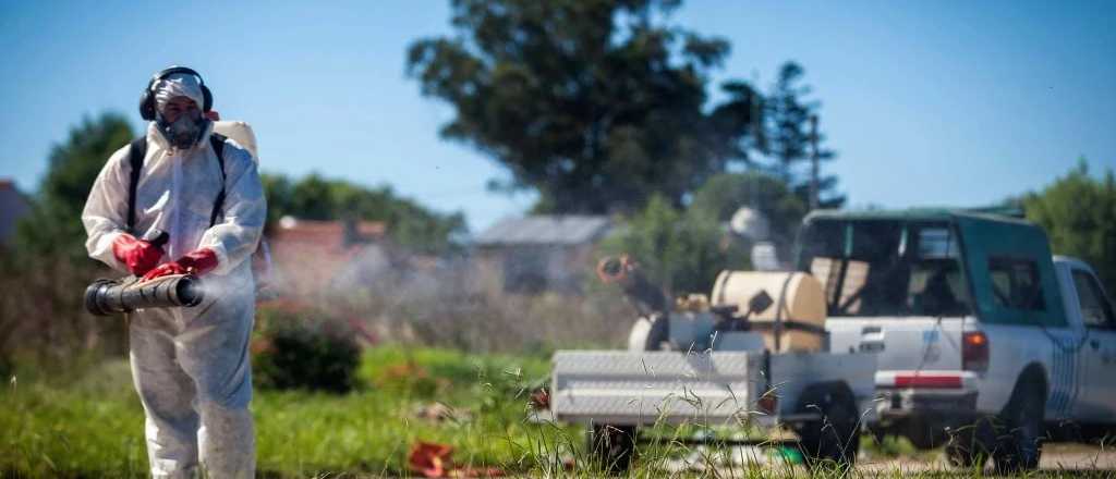 El INTA desarrolló un poderoso producto para combatir el dengue