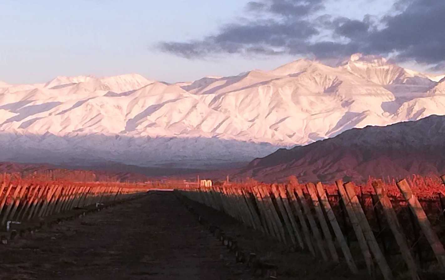 Mirá las mejores fotos de la nieve en Mendoza Mendoza Post