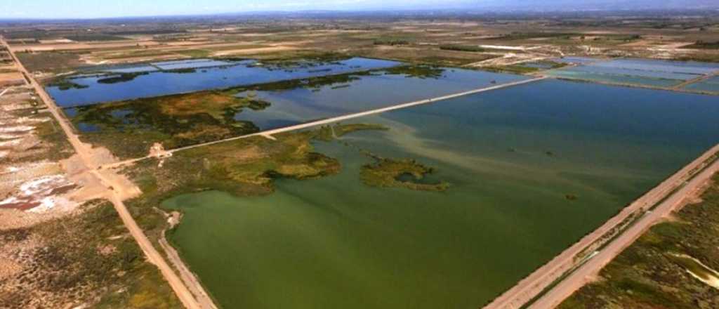 Las Heras analiza aguas residuales para detectar zonas de brotes de Covid