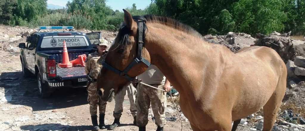 Dos mujeres intentaron ingresar a Mendoza sin que las controlen