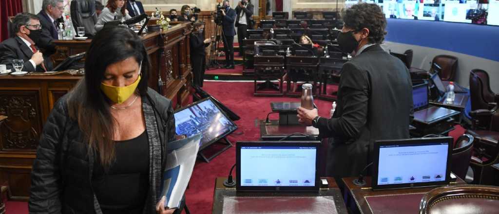 Opositores se retiraron del Senado tras la votar la Educación a Distancia