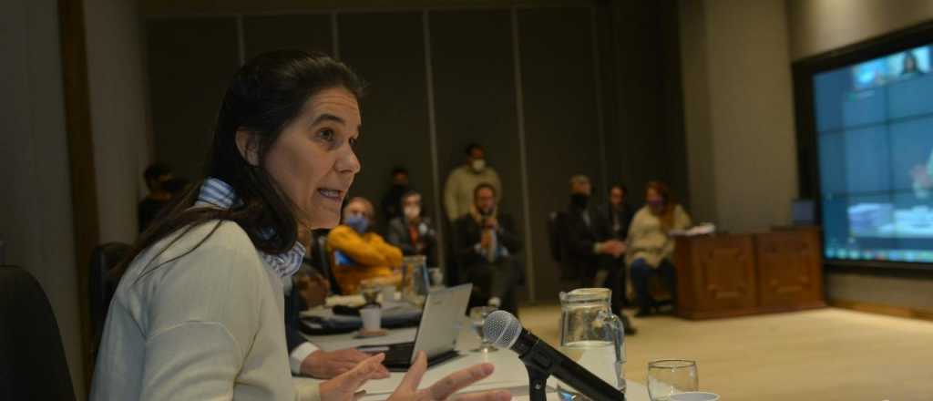 "Tengo los requisitos", afirmó Teresa Day en la audiencia pública