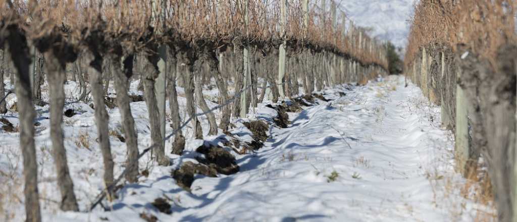 El tiempo en Mendoza: frío y con pronóstico de nevadas en el llano