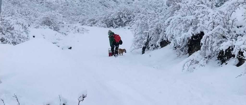 Fotos y videos: Mendoza se tiñó de blanco y dejó postales para el recuerdo