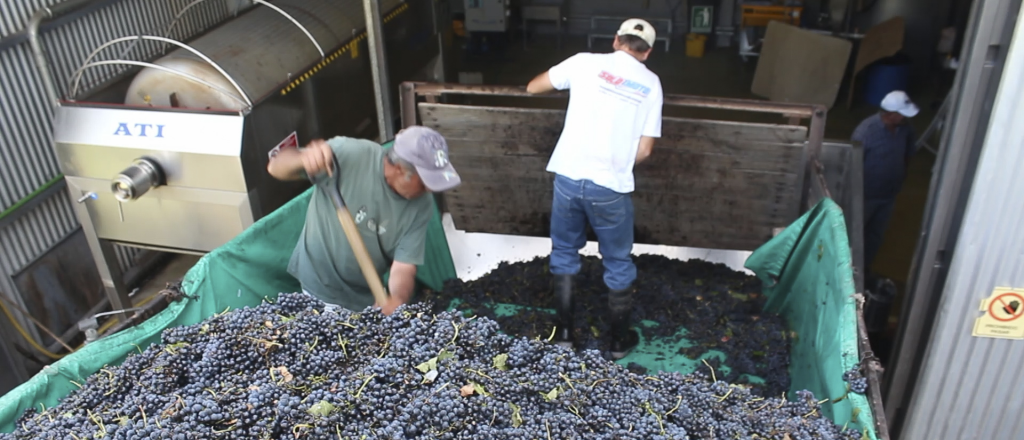 Empresas de elaboración de vino recibirán ATP 