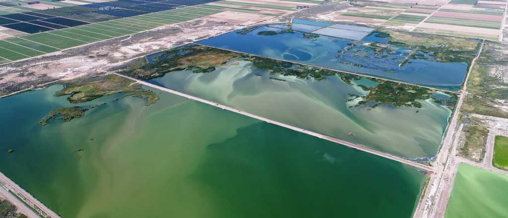 Mendoza decidió rastrear el virus en las cloacas