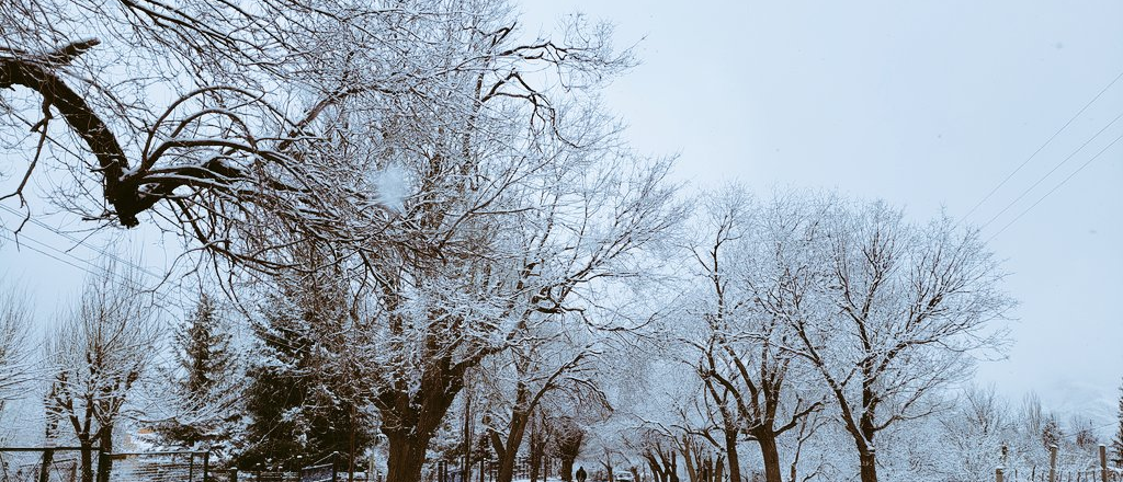 Así lució Potrerillos bajo un manto de nieve este jueves