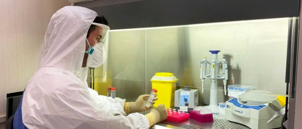 Nuevo laboratorio para detectar coronavirus en Mendoza