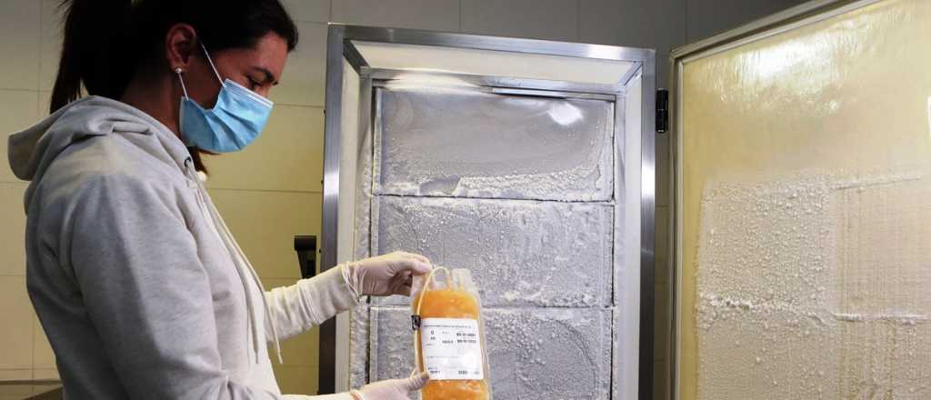 La campaña de estudiantes de Medicina mendocinos para donar plasma