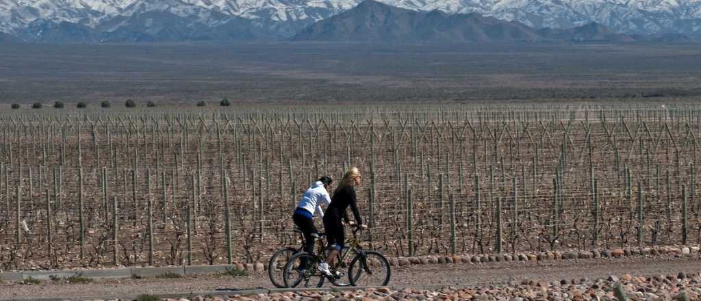 Para disfrutar Mendoza: tours virtuales por los destinos enoturísticos