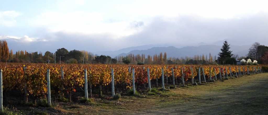 El tiempo en Mendoza este martes: algunas nubes y agradable