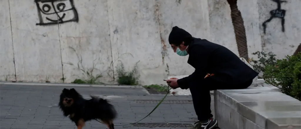 Confirman que los perros pueden oler a los infectados de Covid-19