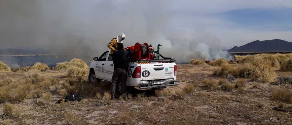 Se incendiaron 500 hectáreas en la Laguna de Llancanelo