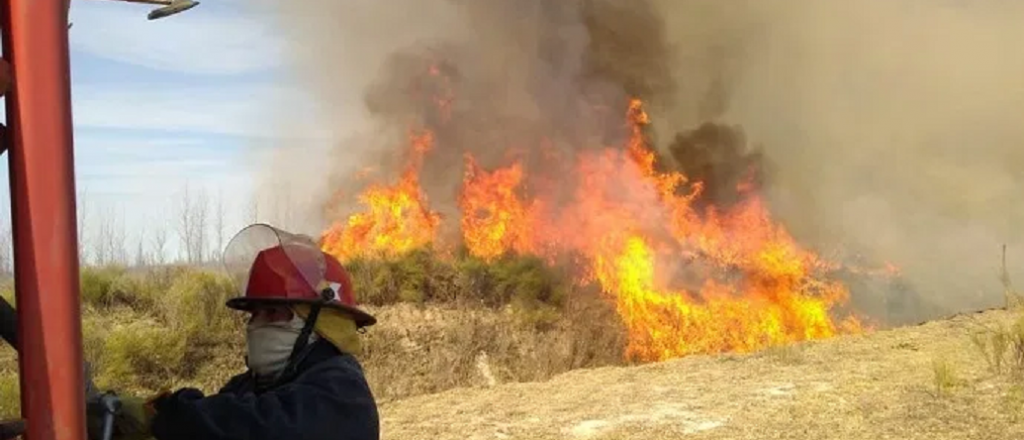 Dos incendios quemaron más de 80 hectáreas en Tunuyán