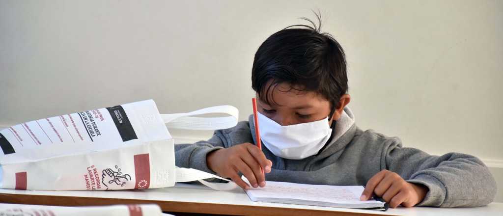 Lanzan curso de formación docente para el regreso a las aulas mendocinas