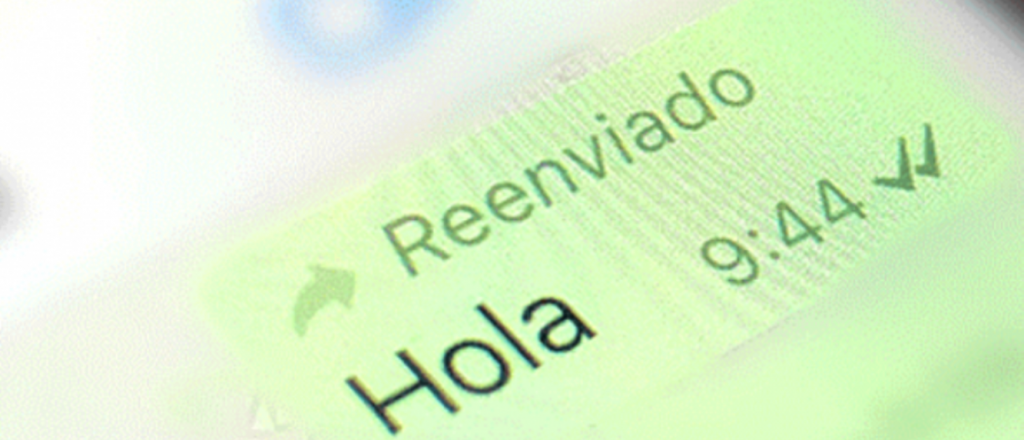 Cómo ocultar el "reenviado" en los mensajes de Whatsapp