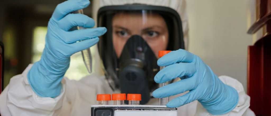 Una vacuna contra el coronavirus fue totalmente eficaz