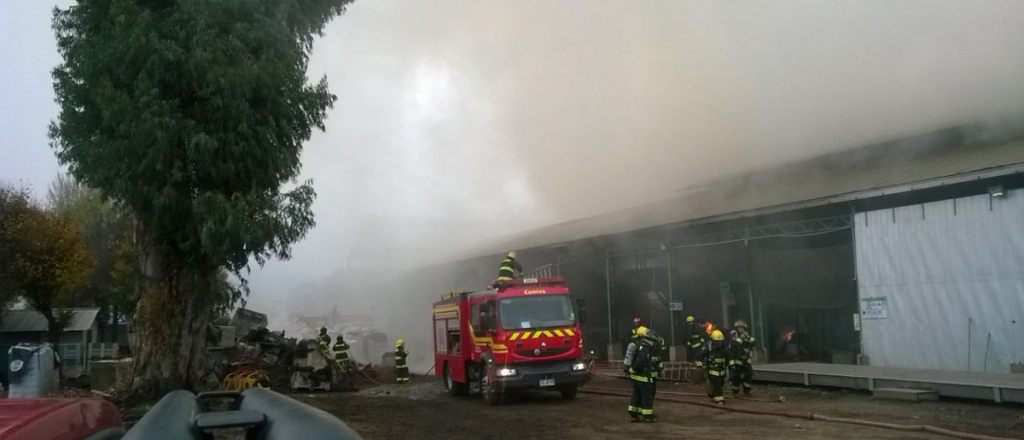 Aseguran que los incendios "no fueron por el Zonda, sino por inadaptados"