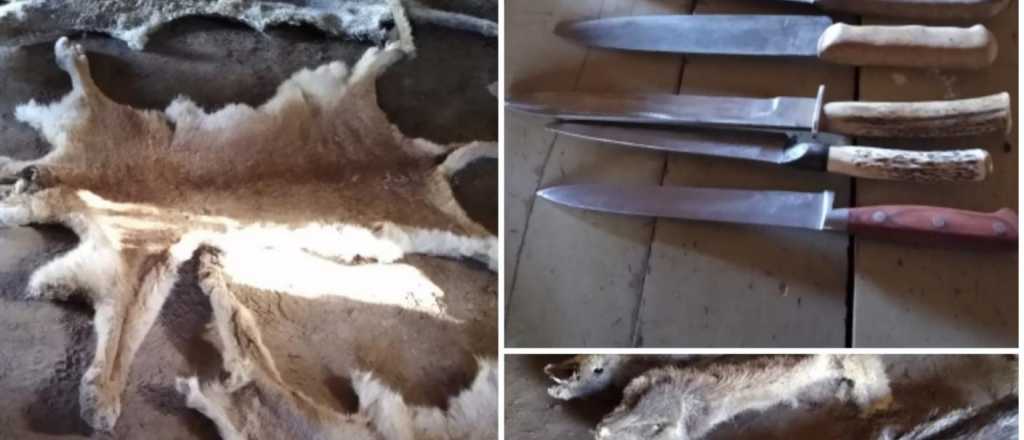 Secuestraron un "arsenal" de caza en La Paz