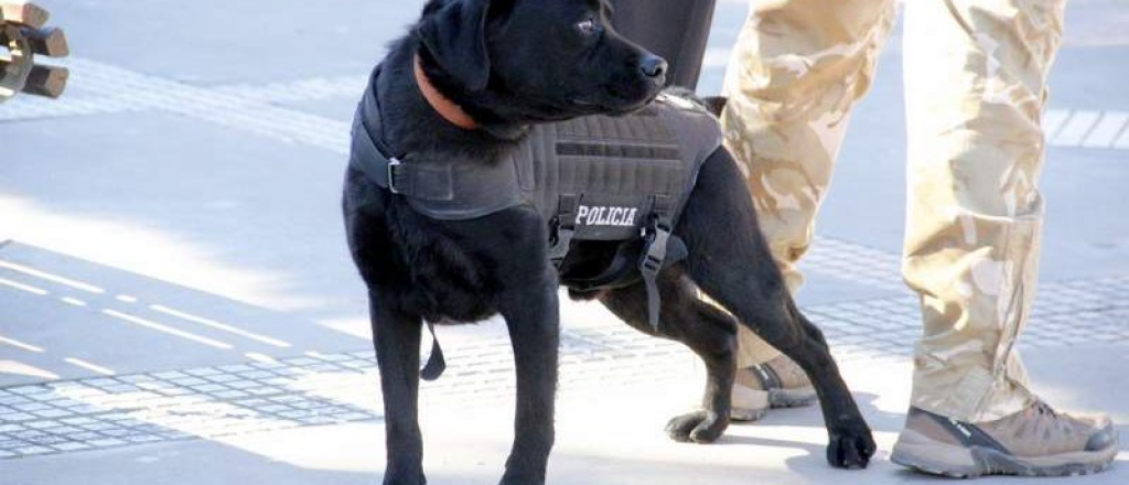 El vecino de un jardín maternal de Guaymallén desvalijó el lugar