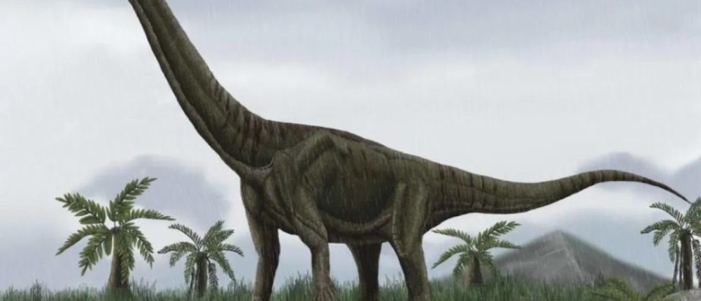 Recuperan embriones fósiles de dinosaurio que iban a subastar en EE.UU.