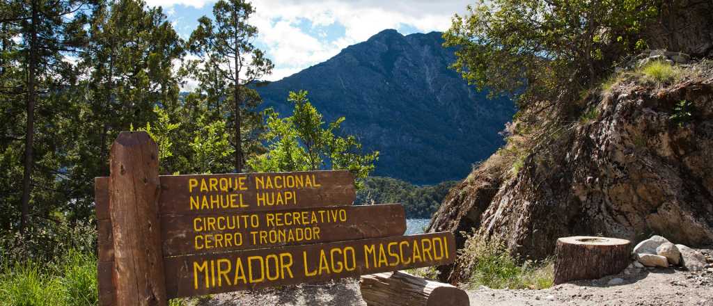 Una "oleada de tomas de terrenos" que crece frente a la inacción del gobierno