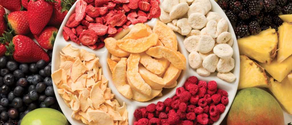 Una startup mendocina compite en el concurso ecológico más grande del mundo