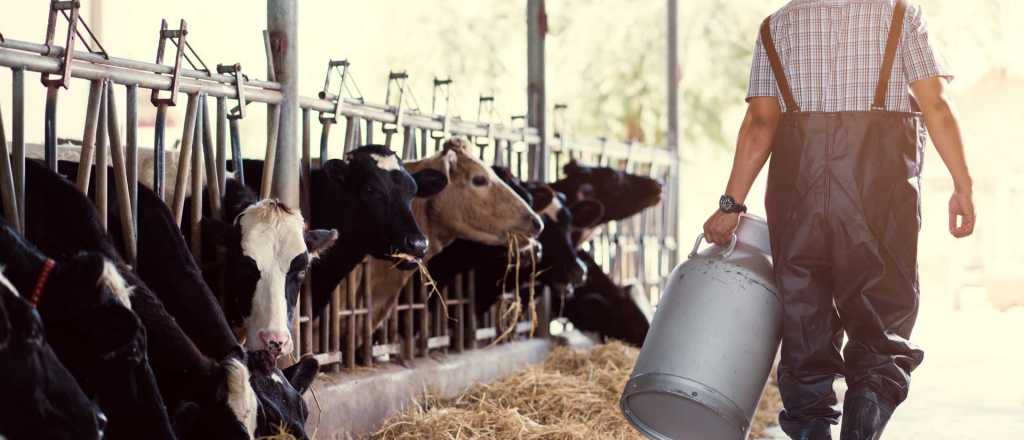 La actividad agropecuaria cayó en el último cuatrimestre