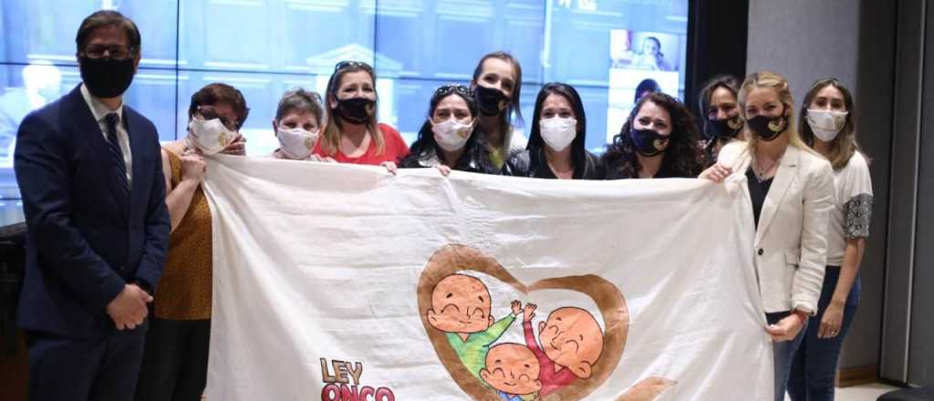 La ley oncopediátrica en Mendoza, cada vez más cerca de su aprobación