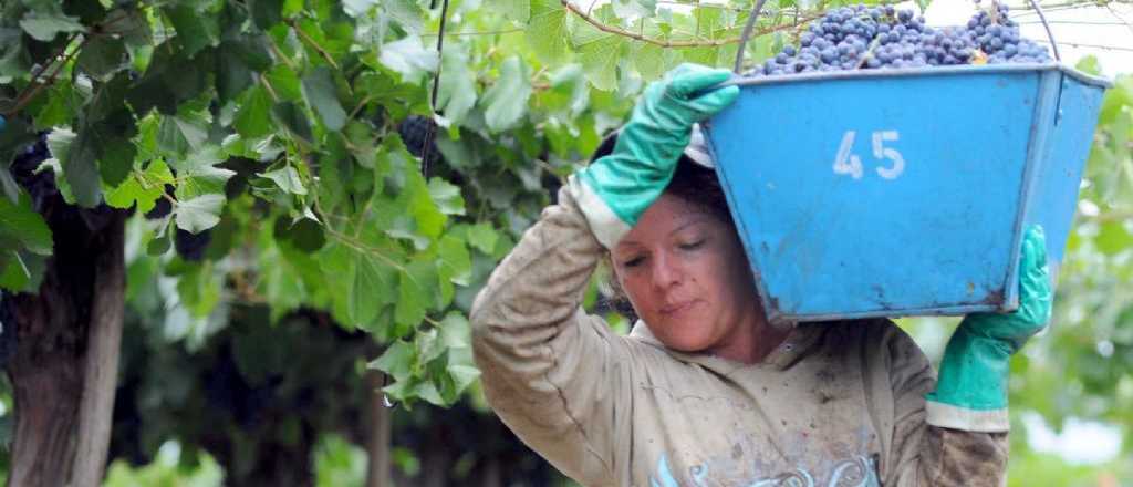 Día Internacional de las Mujeres Rurales, ¿por qué es el 15 de octubre?