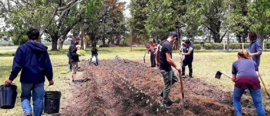 Burlas al "Proyecto Artigas" de Grabois por la huerta en el campo de Etchevehere 