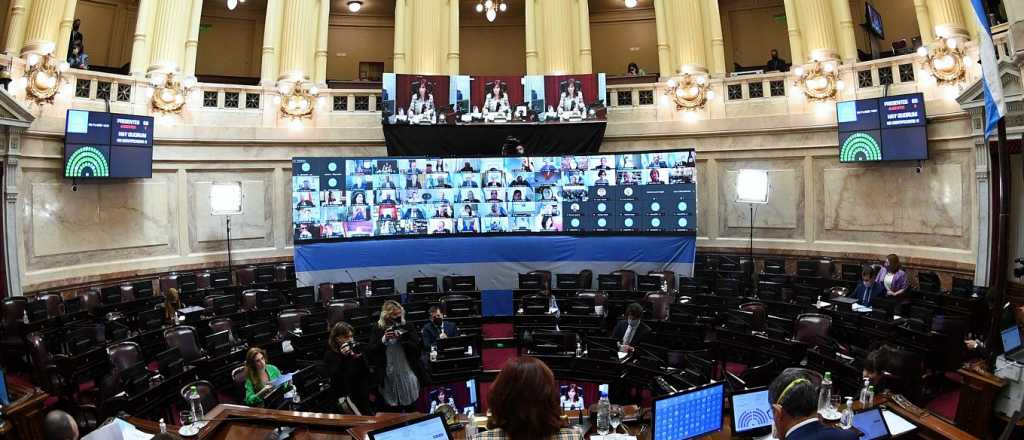 El Senado debate la deuda con el FMI