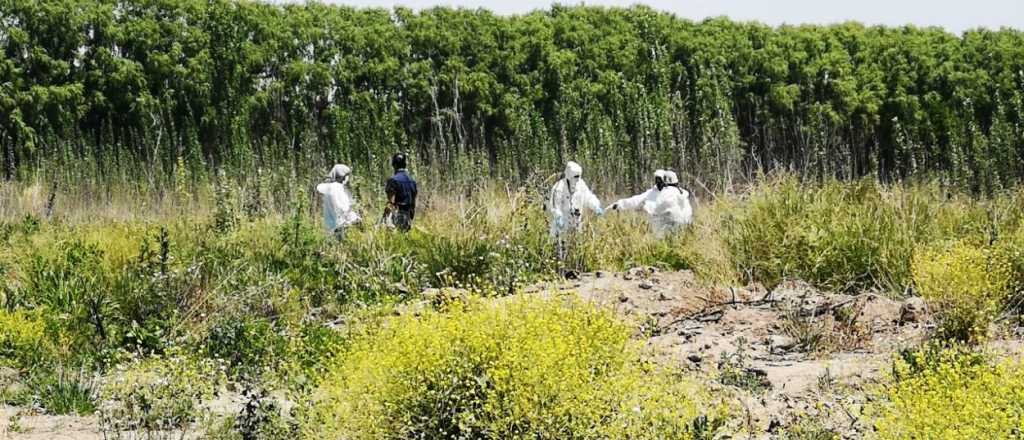 En Tunuyán hallaron un cadáver en un zanjón, en estado de descomposición