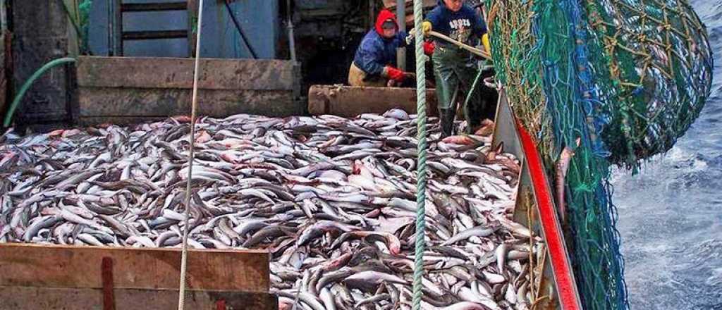 Mientras crece el hambre, en Argentina se tiran toneladas de pescado