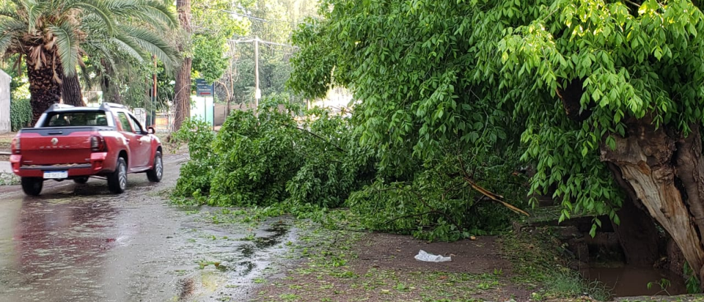 Fuerte tormenta en el Este causó daños y casas anegadas