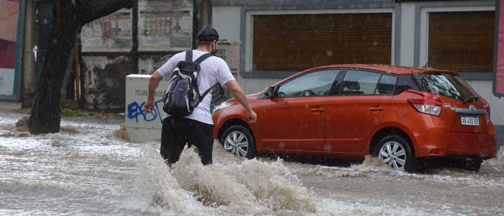 El diluvio en Mendoza tiró árboles, inundó casas y desbordó cloacas