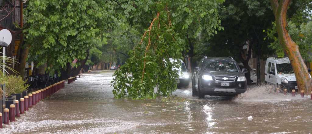 Los daños que dejó la tormenta en Mendoza 