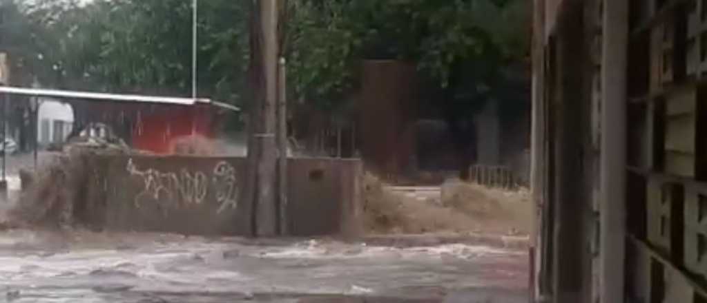 Videos: así colapsó el Zanjón de los Ciruelos por la tormenta