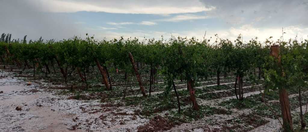 El dramático mensaje de un productor tras la tormenta